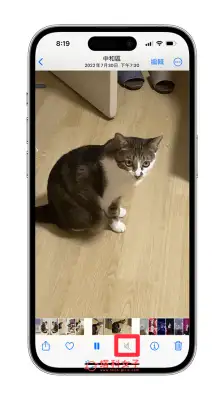 iPhone 视频去除声音或复原声音怎么用？iOS 自带方法 3 步骤达成