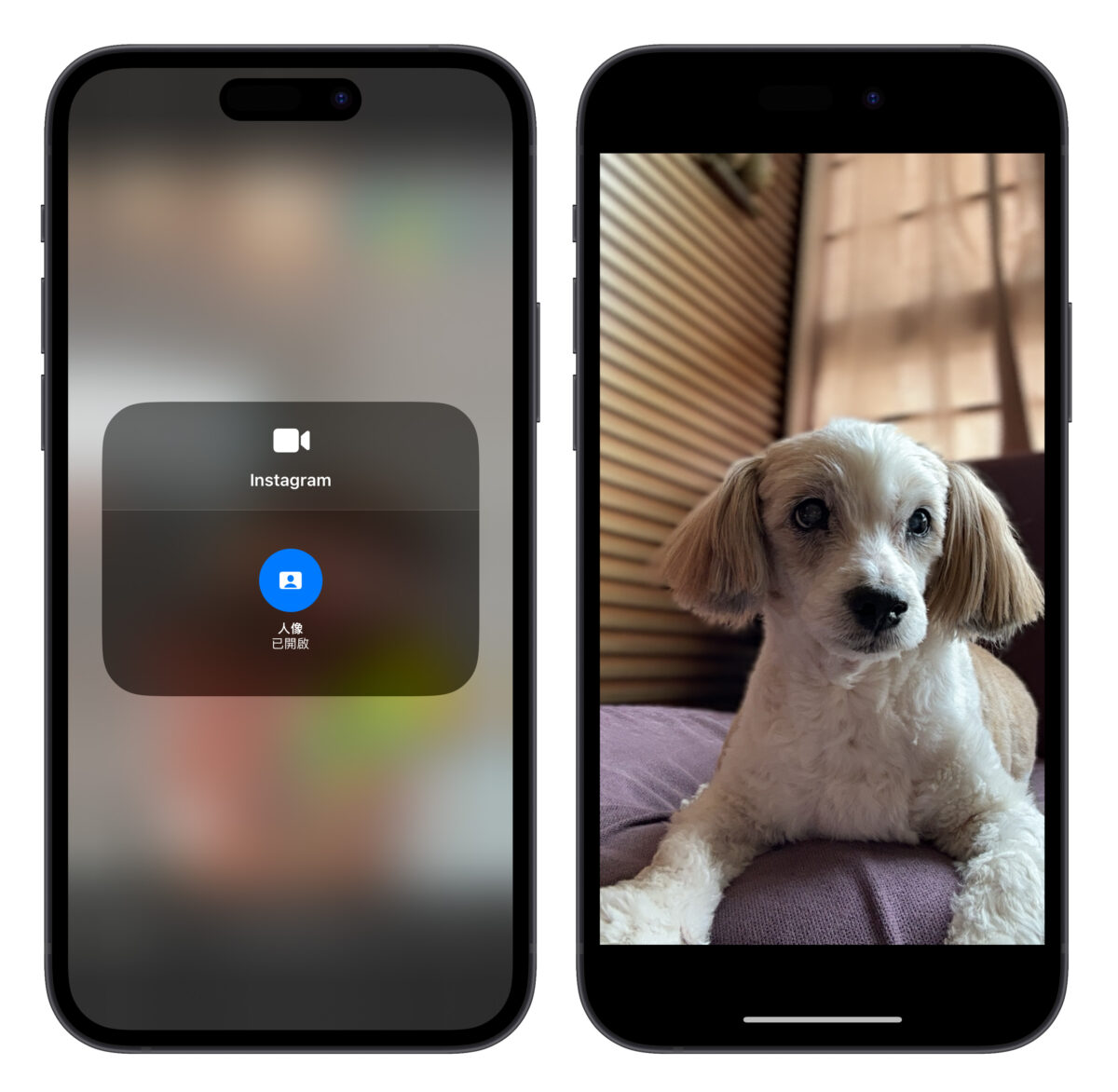iPhone 视讯效果拍照技巧分享：免切 App、还能搭滤镜特效拍人像照