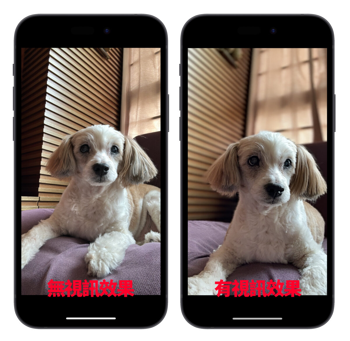 iPhone 视讯效果拍照技巧分享：免切 App、还能搭滤镜特效拍人像照