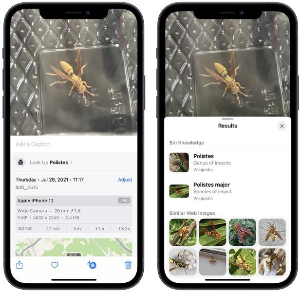 怎么使用iphone图像查询进阶功能?可从料理查食谱及辨识符号