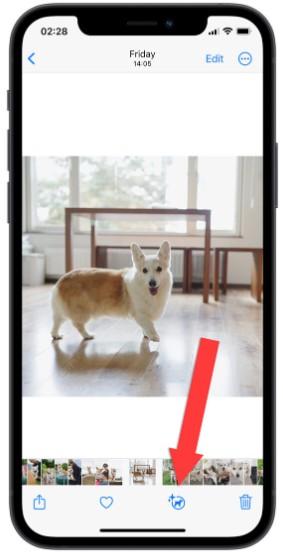 怎么使用iphone图像查询进阶功能?可从料理查食谱及辨识符号