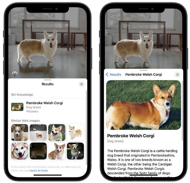 怎么使用iphone图像查询进阶功能?可从料理查食谱及辨识符号