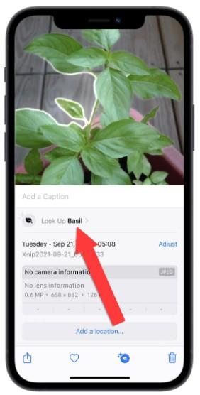 怎么使用iphone图像查询进阶功能?可从料理查食谱及辨识符号
